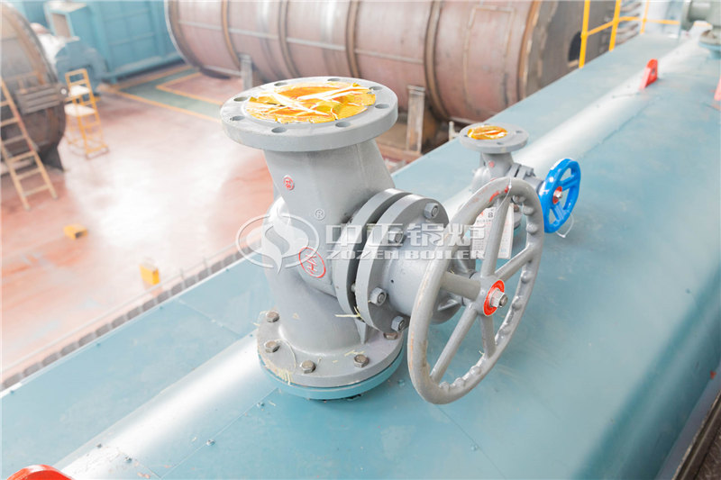 6噸燃油導熱油爐生產廠家